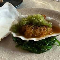 •PANKO AND PISTACHIO FRIED OYSTER - LIGHT MARINATED VEGETABLES - CUCUMBER AND SAKE GRANITA