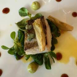 COD - GLAZED FENNEL - ORANGE REDUCTION. - SMOKED AVOCADO