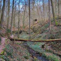 Wir sind wieder ganz allein unterwegs.