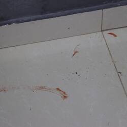 ...und muss leider sterben