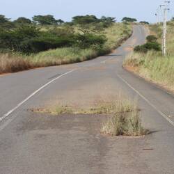 ...zum Teil wächst Gras aus den Schlaglöchern...