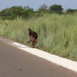 ...kehren diesen getrocknet zusammen