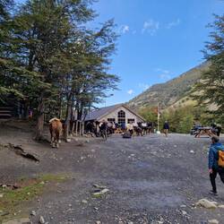 D'Läbensmittel wärded met Ross zom Refugio ufe brocht