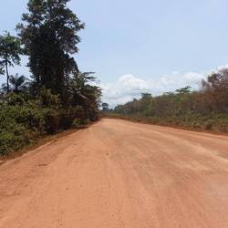 Irgendwie ist auf den ersten 30 km nach Tabou der Asphalt bereits einer Piste gewichen
