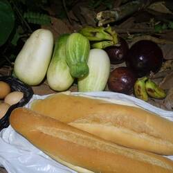 Vielleicht habe ich mir zu viele Gurken und Avocados andrehen lassen