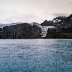 Bertrab Glacier — Gold Harbour, SGI.