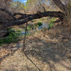 The bridge area. We did see 4 ducks in the river.