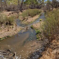 Santa Cruz River. I've taken several photos at the stop.