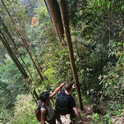 Unfassbars Glück gha und selteni wildi Black Siamang Affe huutnah gseh ☺️🫶🏼