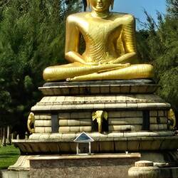 Buddha in a park