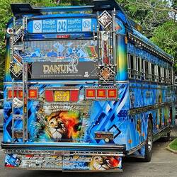 Many of the private bus line buses in Sri Lanka are pretty tricked out