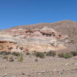Al types of colours can be found in the mountains
