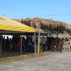 Mit em Ross ad Bar, ou nid schlächt 😅