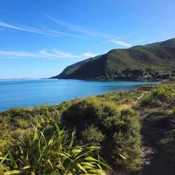 Petit paradis pour les oiseaux mais aussi les humains