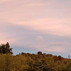 Wir sagen gute Nacht aus Arrowtown