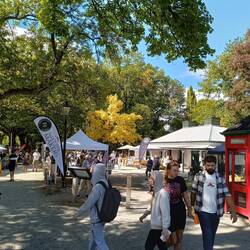 Im Park gab es einen Markt mit vielen tollen Dingen