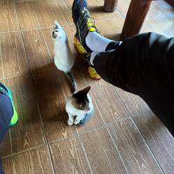 😻🐈 d Tanja wür am liebste eis mit heineh ☺️🥰