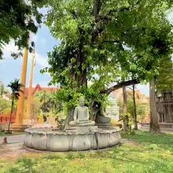 Turn on the sound and hear the quiet afterwards.