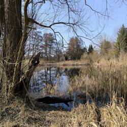 Pfarrteich Markröhlitz