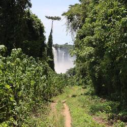 Es gibt einen kleinen Pfad...