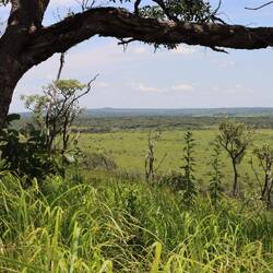 ...auf einem steilen Pfad wieder zurück