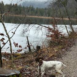 Giro attorno al lago