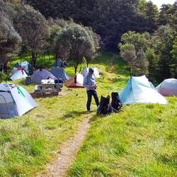 Campsite auf einer Waldlichtung