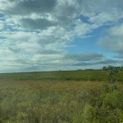 Auf dem Weg nach "Ituzaingó"