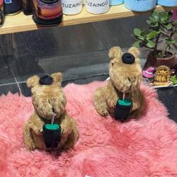 Wasserschweine mit Mate-Tee