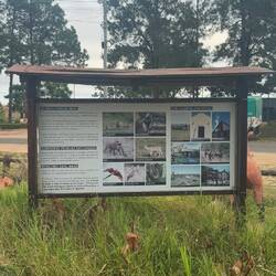 Busterminal in "San Miguel"