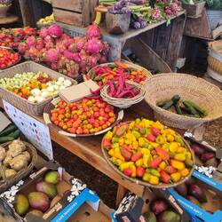 Oranjezicht farmers market