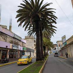 Trotz der Höhe gibt es hier Palmen in Latacunga