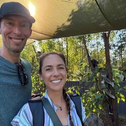 Modeling a passed out koala