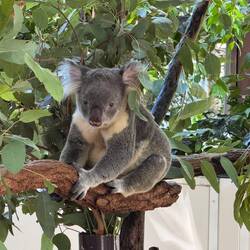 This one had some energy!