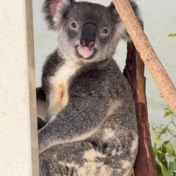 This one decided to model for us!