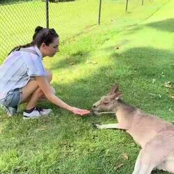 Chelsea got a kick out of feeding them!