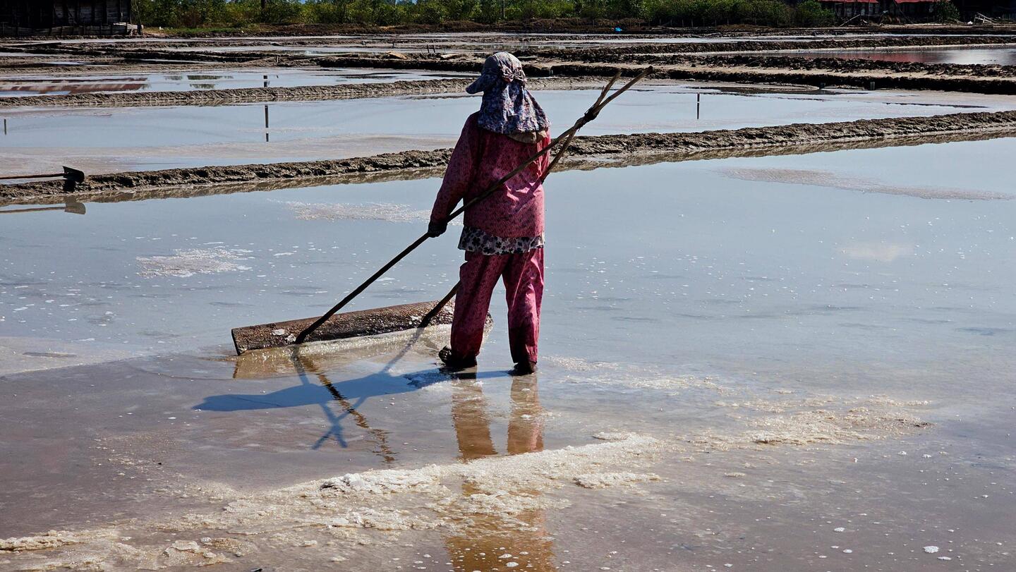 Natural Salt Fields: Es wird gerade geerntet.