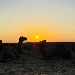 Sunset in the desert
