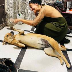 "Our" dog.. she came knocking and crying at our door...😂🤷🏻‍♀️