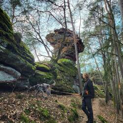 Das Dahner Felsenland ist ein Wander- und Kletterparadies.