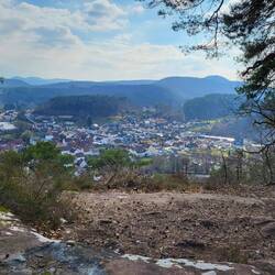 Picknick mit diesem Blick!