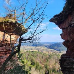 Erkundungstour am Hochstein.