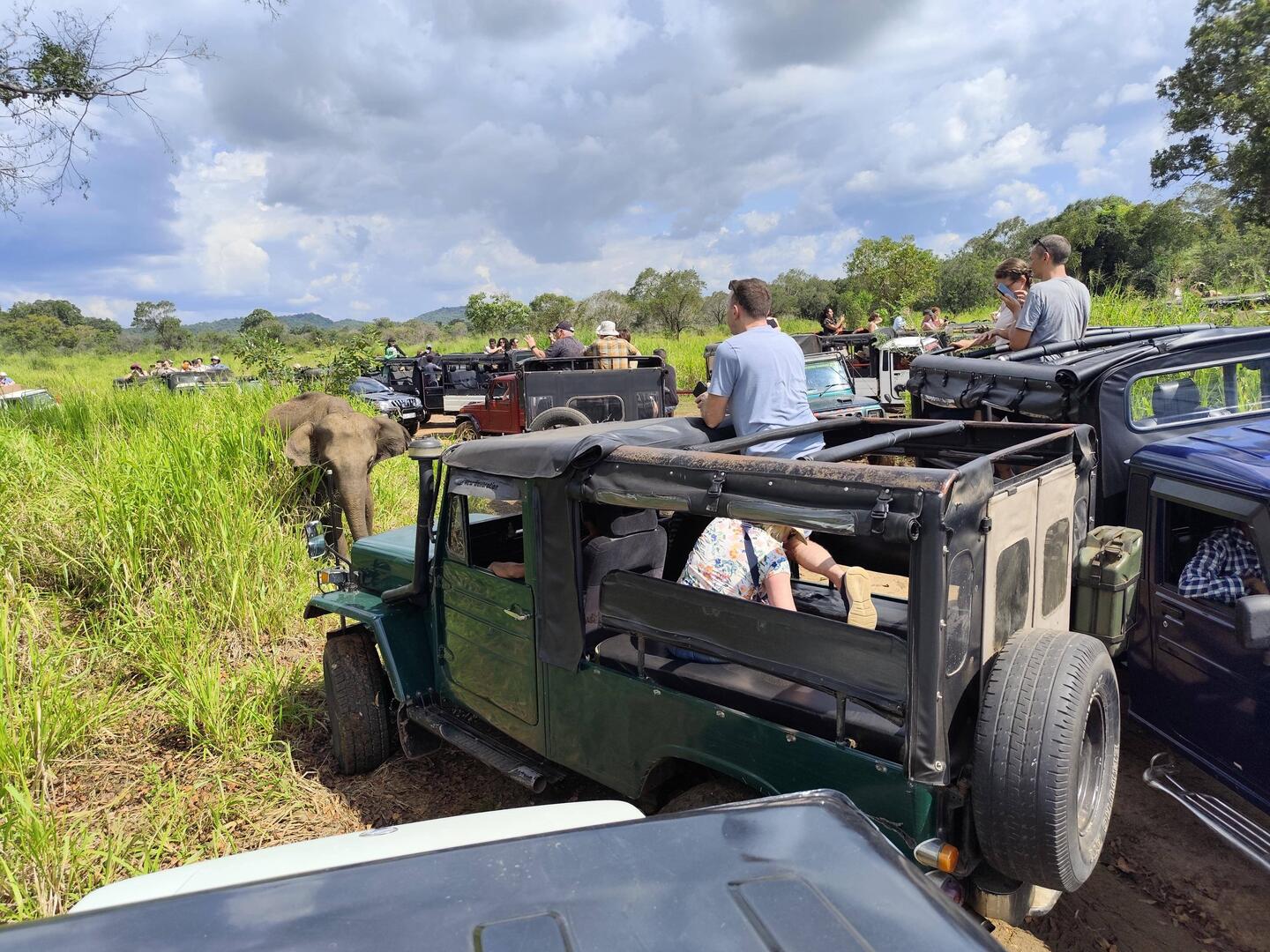 Leider an einigen Plätzen zu viele Jeeps, aber nicht immer!