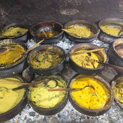 Verschieden Currys auf Kohle