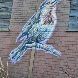 These murals really brightened the place up