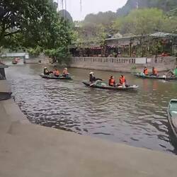 Paddling with their feet!