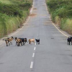 Es geht weiter nach Süden...