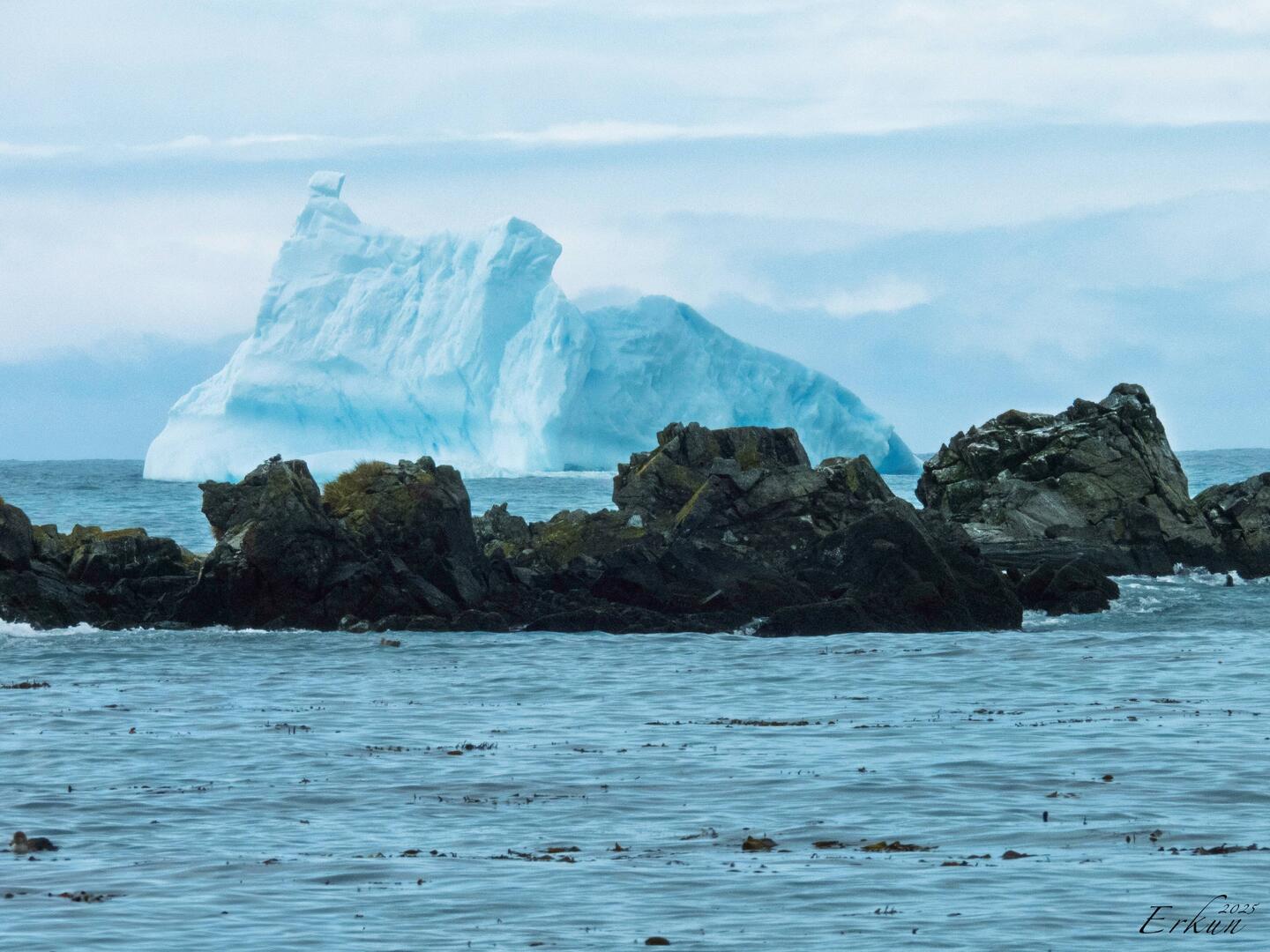 I spot an iceberg floating by our landing beach — Gold Harbour, SGI.