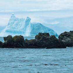 I spot an iceberg floating by our landing beach — Gold Harbour, SGI.