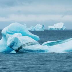 Iceberg near and far keep me on deck as Ortelius sails from South Georgia Island.